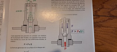 20250304_180701.jpg