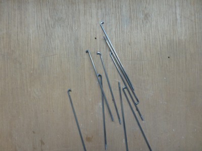 P1070023.JPG