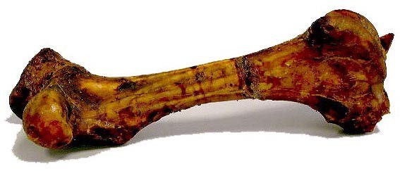 os-mamouth.jpg