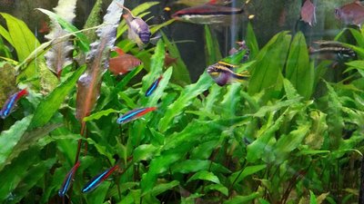20150514_154121.jpg