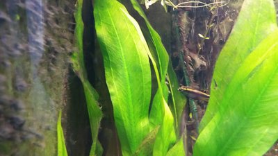 20150514_192627.jpg