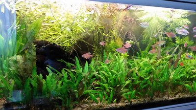 20150729_205213.jpg